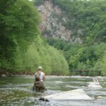 Trout fishing WV