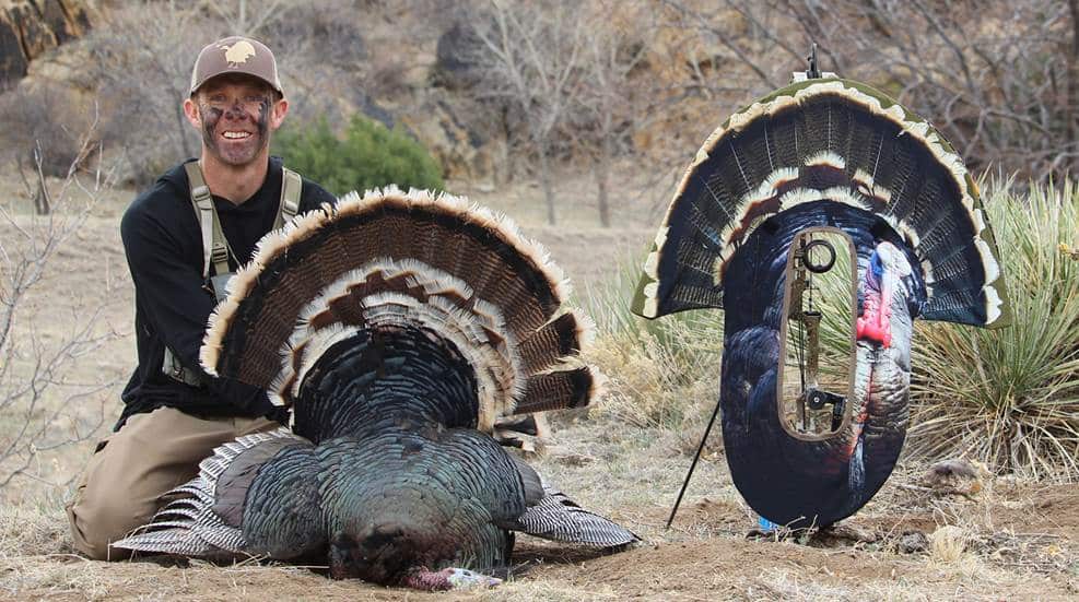 bowhunting turkeys picture